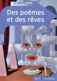 Des poèmes et des rêves - Collectif