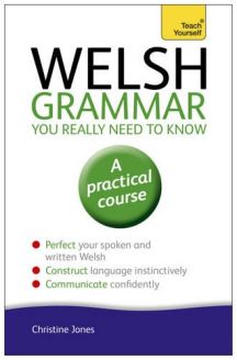 Teach Yourself Welsh Grammar You Really Need to Know